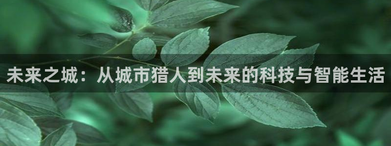 在线3d里番动漫观看：未来之城：从城市猎人到未来的科技与智能生活配图