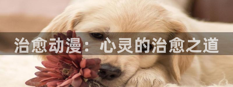 里动漫番在线观看：治愈动漫：心灵的治愈之道配图