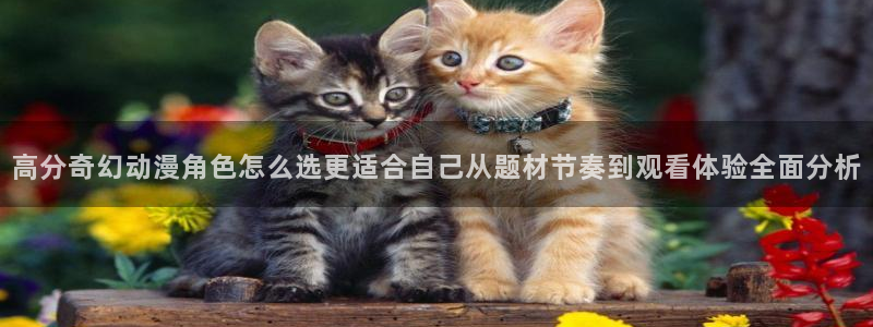 里番午夜动漫在线观看:高分奇幻动漫角色怎么选更适合自己从题材节奏到观看体验全面分析配图