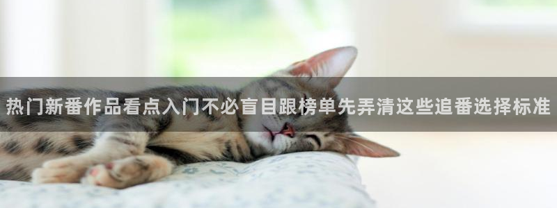 在线观看动漫里番:热门新番作品看点入门不必盲目跟榜单先弄清这些追番选择标准配图