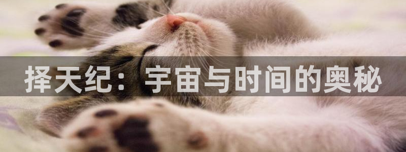 里番神作在线观看动漫:择天纪:宇宙与时间的奥秘配图
