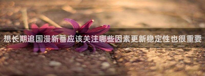 里番肉片动漫在线观看:想长期追国漫新番应该关注哪些因素更新稳定性也很重要配图
