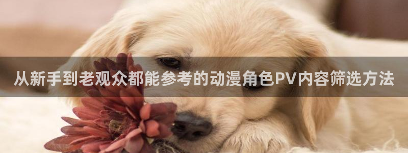 里番动漫网在线观看:从新手到老观众都能参考的动漫角色PV内容筛选方法配图