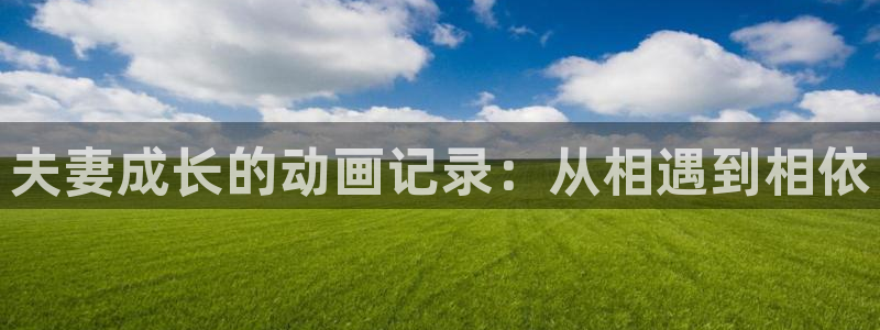 里番邪恶动漫在线观看:夫妻成长的动画记录:从相遇到相依配图
