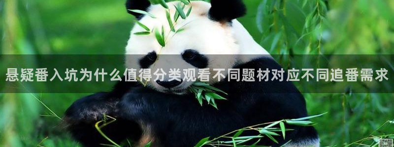 生里番动漫在线观看：悬疑番入坑为什么值得分类观看不同题材对应不同追番需求配图