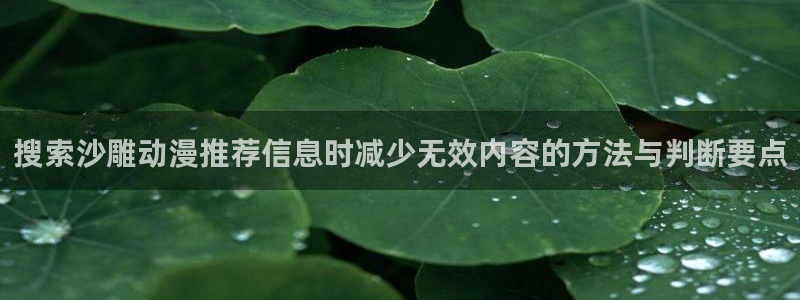 里番肉动漫在线观看:搜索沙雕动漫推荐信息时减少无效内容的方法与判断要点配图