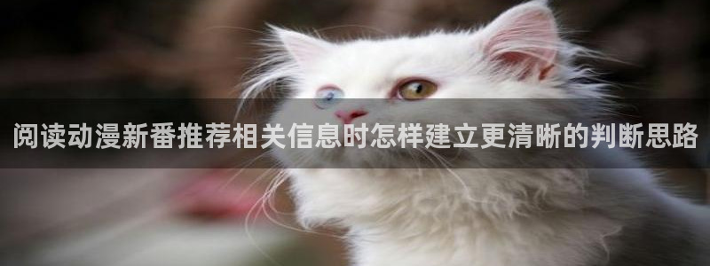女里番动漫在线观看:阅读动漫新番推荐相关信息时怎样建立更清晰的判断思路配图