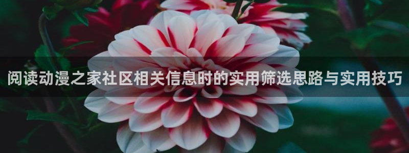 儿童里番动漫在线观看:阅读动漫之家社区相关信息时的实用筛选思路与实用技巧配图
