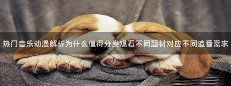 在线3d里番动漫观看:热门音乐动漫解析为什么值得分类观看不同题材对应不同追番需求配图