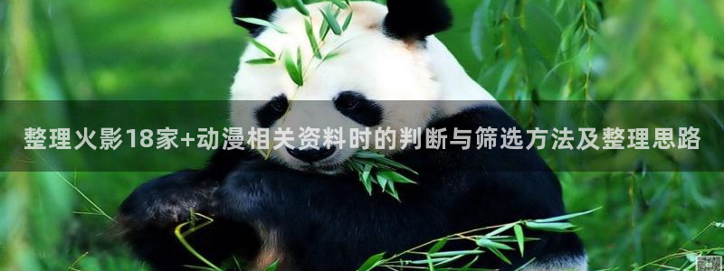 游戏里番动漫在线观看：整理火影18家+动漫相关资料时的判断与筛选方法及整理思路配图
